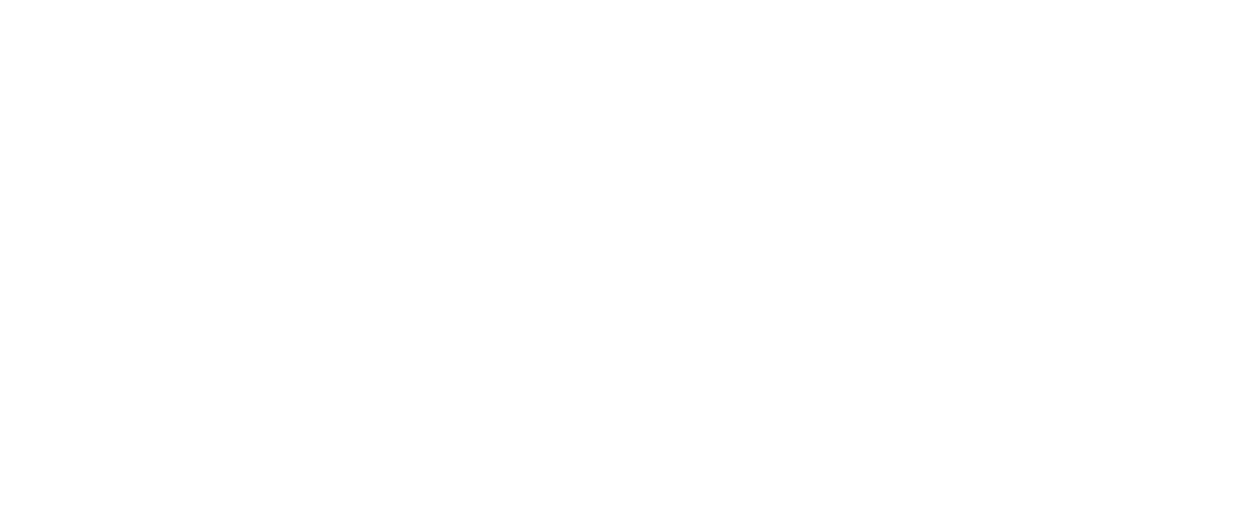 Wollip Digital and Design
